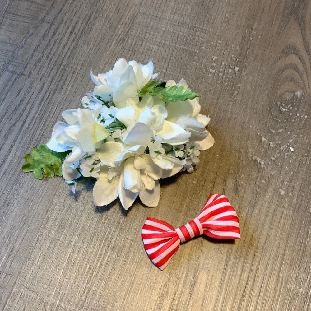 Hair Clips - Picture 1 of 5